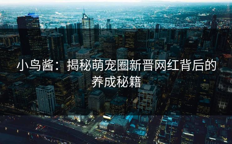 小鸟酱：揭秘萌宠圈新晋网红背后的养成秘籍