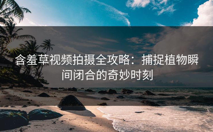 含羞草视频拍摄全攻略：捕捉植物瞬间闭合的奇妙时刻