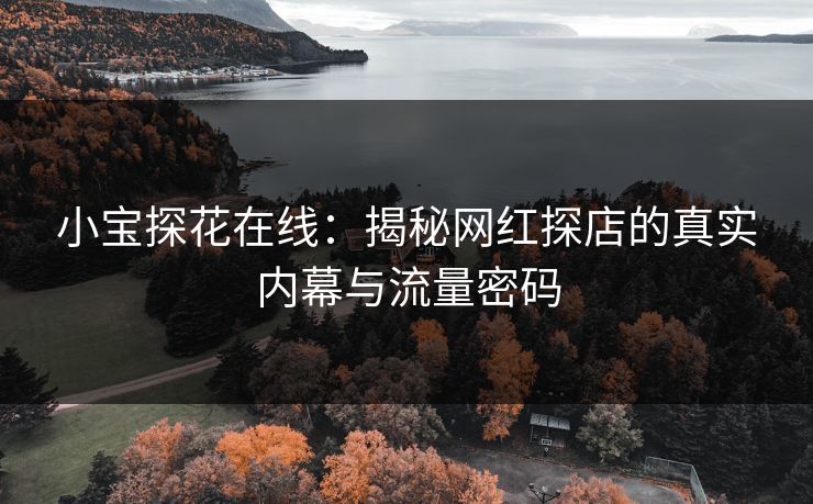 小宝探花在线：揭秘网红探店的真实内幕与流量密码